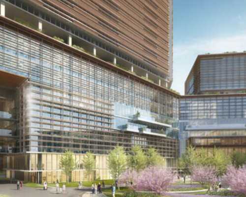 香港验血要几周才能验,人与自然的作文关于人与自然的作文