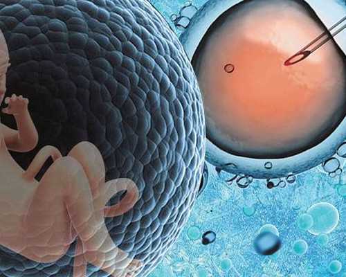 香港验血查男女是国内的无创吗,深圳香港验血没y生了男孩_验血查性别准不准