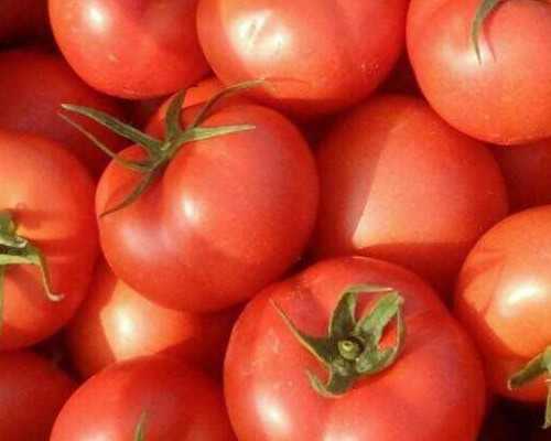 怀孕多少天香港可以验血_专业的查验性别中心技术先进