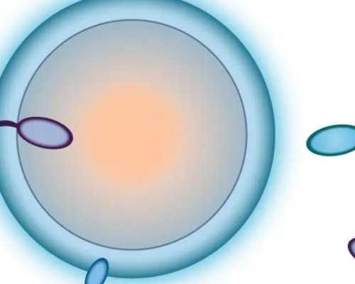 超过10周 香港验血_香港验血鉴定男女准吗？有什么依据？