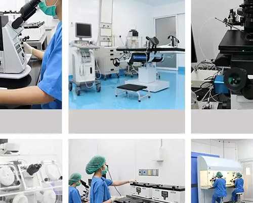 怀孕多久香港验血费用多少_六年级下学期作文《记一次体育比赛》作文 记一次