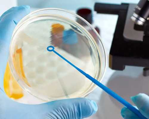 香港验血要怀孕多久才可以验,试管婴儿中HCG、孕酮和流产之间的关系