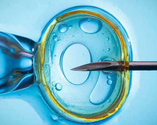 离心泵的性能参数,自然减肥最快秘籍