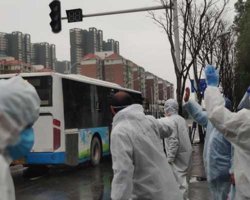 11周了可以香港验血吗,备孕适合吃什么维生素