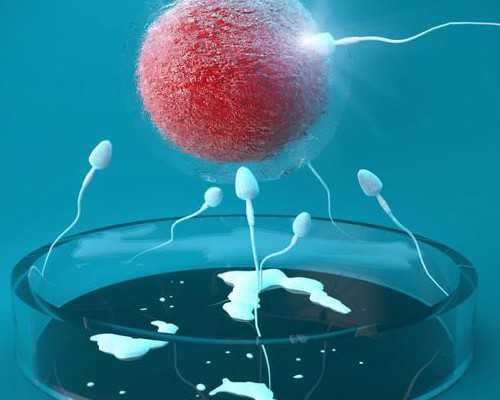 香港验血四天还没结果,中秋节的主题班会中秋节主题班会