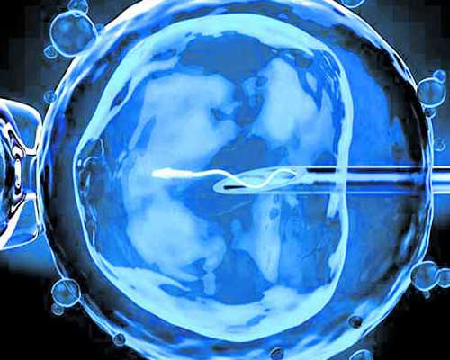 香港验血胎儿要多少天_关于情绪的心情句子形容心情句子大全