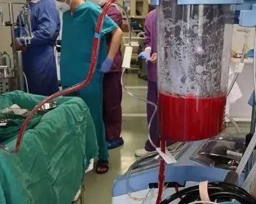 香港验血大概几天出结果_香港化验血知道男女_亲身经历详细攻略!