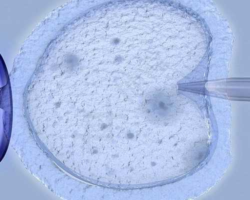 怎样香港验血鉴定男女,香港做胎儿性别鉴定准不准,验血查男女需要什么流程