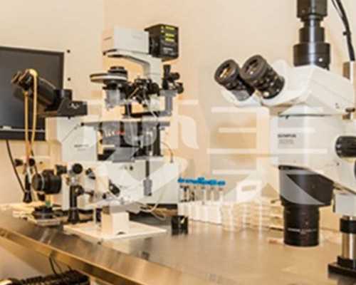 香港验血价格都不一样_香港查血看胎儿性别精确吗?共享宝妈的亲身经历