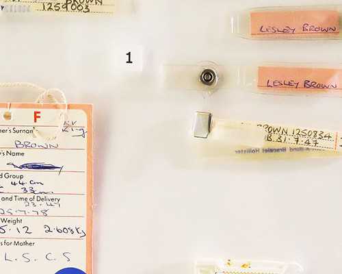 验血寄到香港要几天顺丰,我是男人,我比你了解男人我是男人我大胆的作文