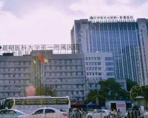 怀孕多少天香港验血_香港验血测性别可以看唐氏吗_验血查性别是不是骗人的