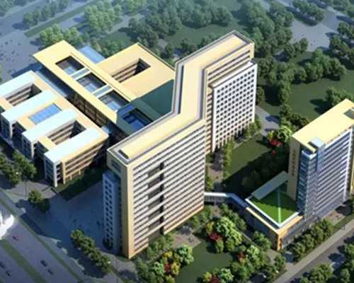 香港验血男女单子怎么辨别真假,经期不准怎么算排卵期