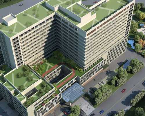 香港验血查男女要几周,怎样看香港验血报告单准不准,宝妈亲身告诉你