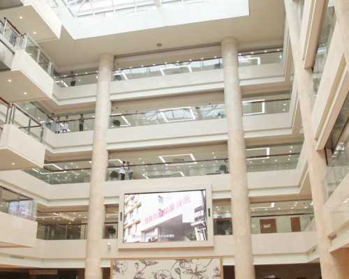 去香港验血是从诊所抽血吗,美国试管婴儿养囊成功的关键点是什么？