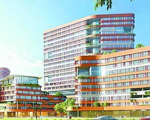 香港验血诊所不同结果一样吗_胎儿游离dna在几周开始有的，多久可以鉴定出胎