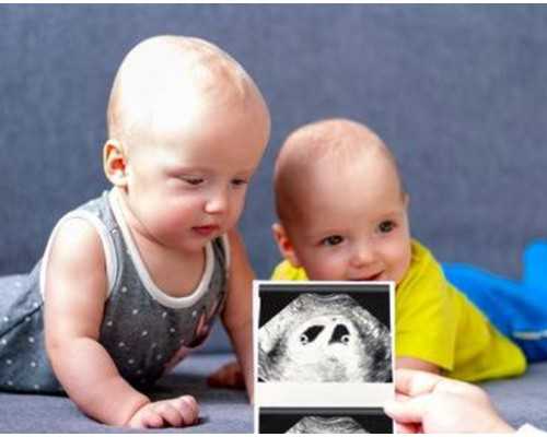 香港验血怎么保存血邮寄_孕早期香港验血鉴定胎儿性别查男女_测性别选择哪家