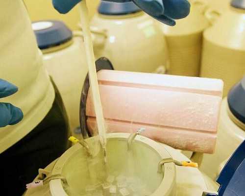 香港什么医院验血可以看出胎儿性别_怎样自助在香港抽血查男女?期望能够提示