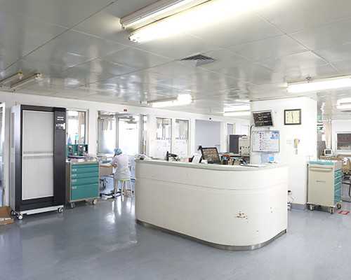 香港验血测胎儿的性别多少钱_香港十大基因化验所_查男女大概需要多少钱？