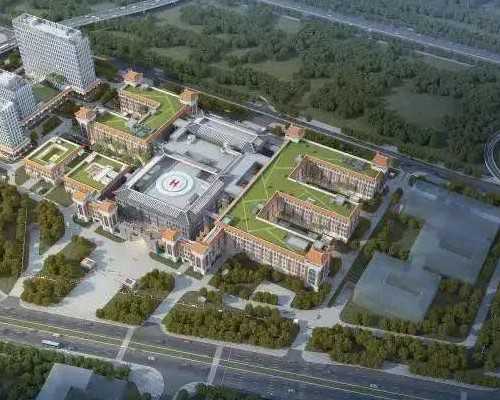 在香港验血是Y是男孩吗,53岁借卵生子成功案例分享-真实且现实