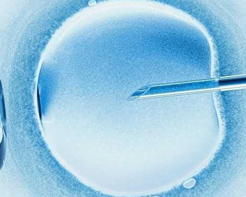 香港验血鉴定官网,【沈阳204医院试管婴儿供卵】备孕二胎三个月，换个方式怀