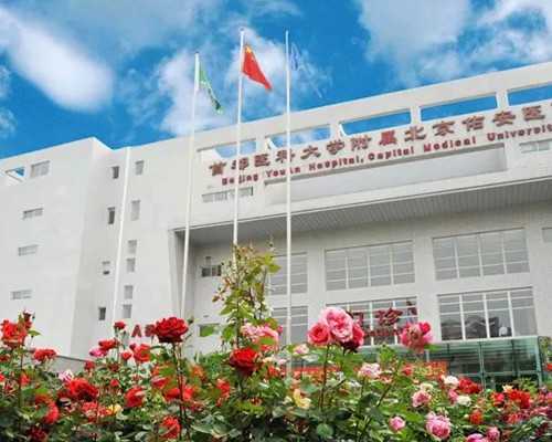 长沙市香港验血机构_作文《我心目中最美的教师》300字以上。明天就交、拜托