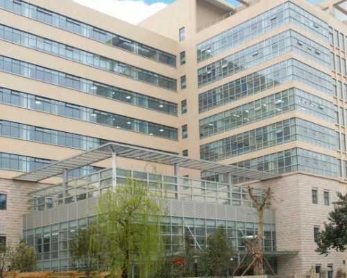 美敦力胰岛素泵英文操作_让你知道绿松石有多值钱