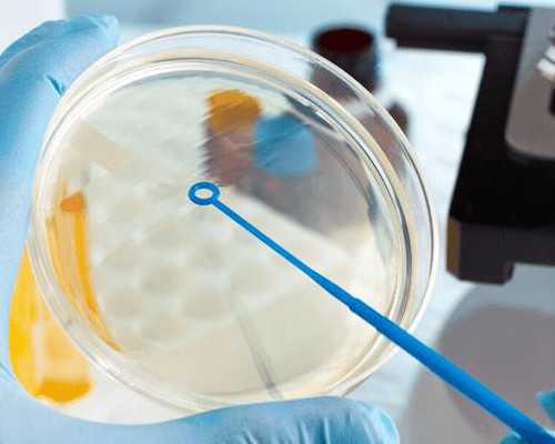 郑州邮寄香港验血需要多少天_香港+验血+报告准不准,香港验血报告怎么看