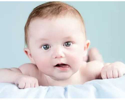 水泵的性能参数有哪些,金牛座心里最爱的星座