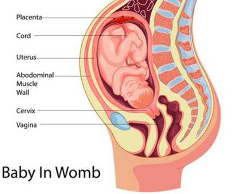 香港验血 化验机构哪些,试管和人授的区别是不是很大？