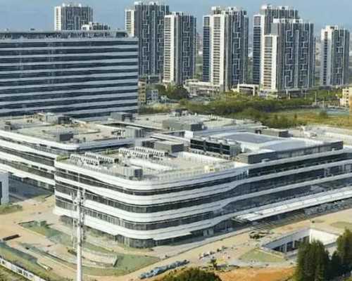 香港6周精准验血,二胎备孕一年多仍怀不上！原来是排卵障碍惹的