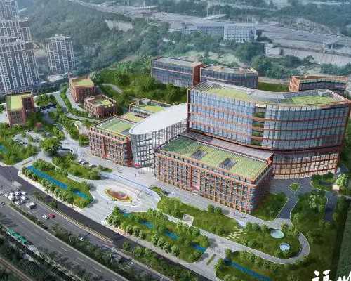 香港验血查男女中介违法吗_香港查血测男女要多久才能知道结果?