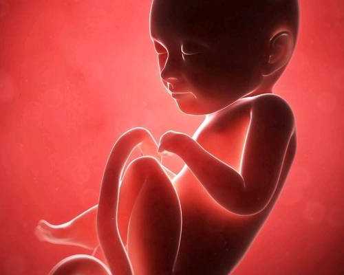 8周香港验血男孩却生了女孩,香港产前性别鉴定,分享宝妈的亲身经历