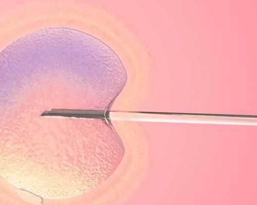 香港妇幼医疗中心验血费用_香港验血怎样预定？这些细节要提早留意