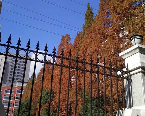 心脏泵血功能的调节原理,下饭夏日美食-芥菜炒牛肉美味又营养