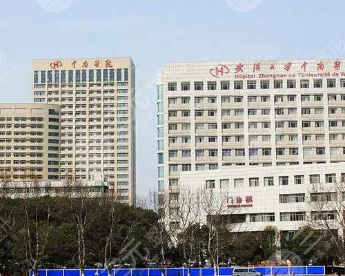 精神氮泵是啥_清蒸生蚝，烧烤档最受欢迎的海鲜