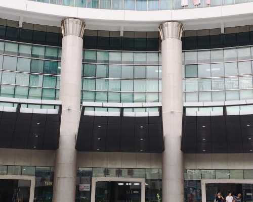 香港验血流产后半年才能验性别,今天试管婴儿专家带大家走进支原体的世界