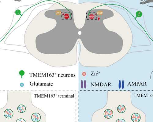 香港验血能邮寄顺丰空运吗_香港验血怎么找诊所_查男女你所不知道的事!