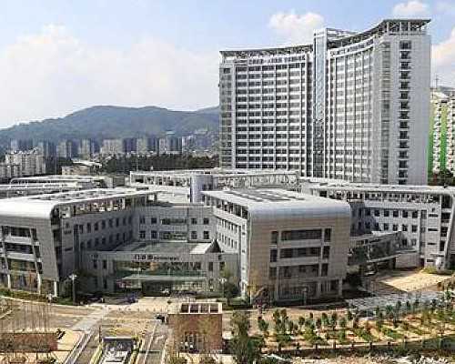 香港上水广场验血地址,张庭、zs，为何明星爱选择“试管”？试管宝宝会更聪明