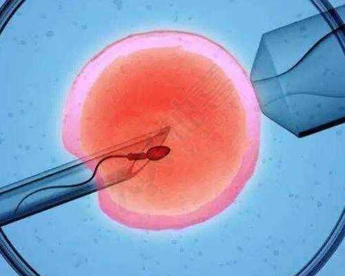 香港哪里可以验血测男女_香港怀孕一个月查男女多少钱_查性别需要什么条件