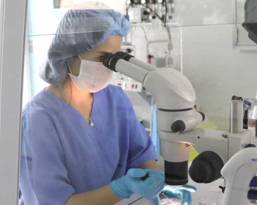 香港验血孕期是孕期是怎么算天数的_香港达雅高电话_验血查性别是不是真的很