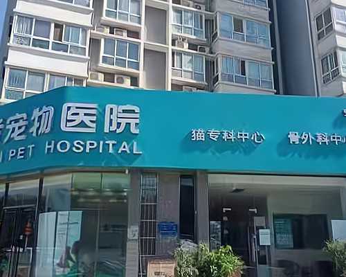 香港验血胎儿性别报告单_香港时代医疗验血报告查询准不准_抽血查性别是真还