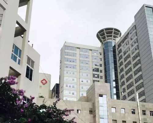 香港验血男女结果单子真假对比,试管有7个基础卵泡需要降调后再促排吗？