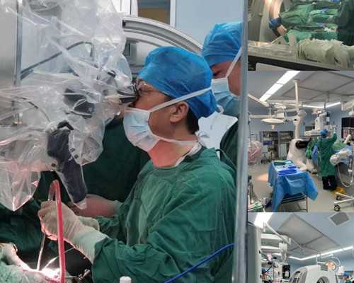 香港验血检测性别的最佳时期你知道吗_如何邮寄到香港验血准不准_需要准备什