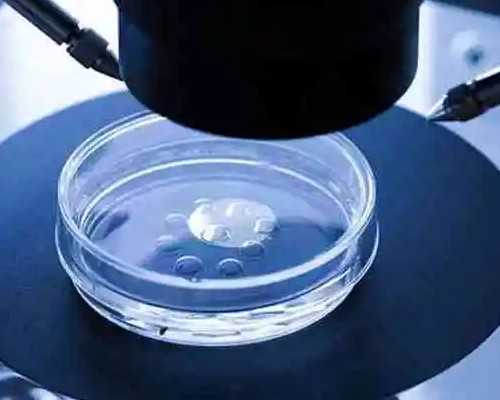 香港验血鉴定男女怎么看化验单_香港验血怎么不用去就可以检查，希望可以提