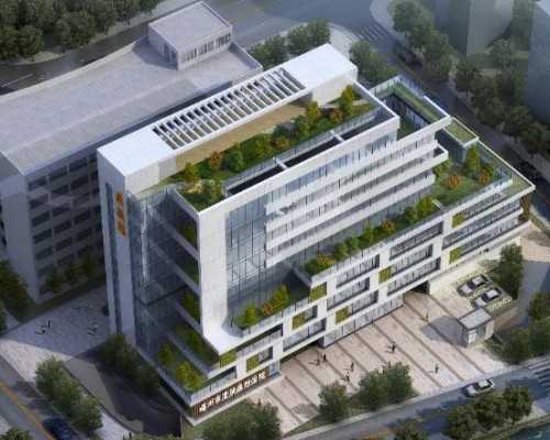 香港验血查男女机构哪家权威_香港验血男女需要什么影响?最全攻略全在这!