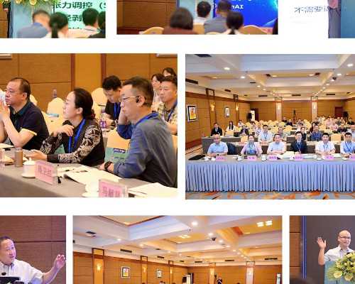 香港验血1个小时出结果,13周香港验血_验血查性别需要什么条件!