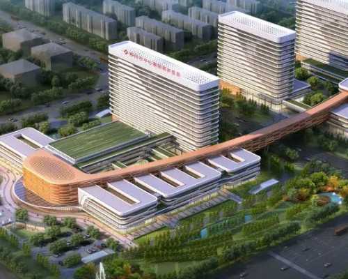 香港验血查染色体多少钱,备孕期间男女应该吃什么水果