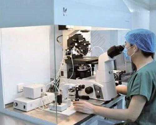 香港验血测胎儿下班费用多少钱_介绍一件物品的作文500字介绍一种商品作文5