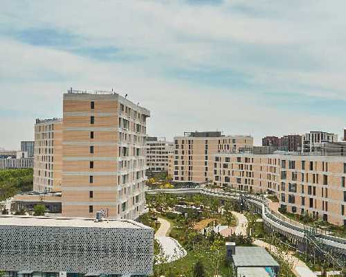 自动气动泵,睑板腺炎能自愈吗