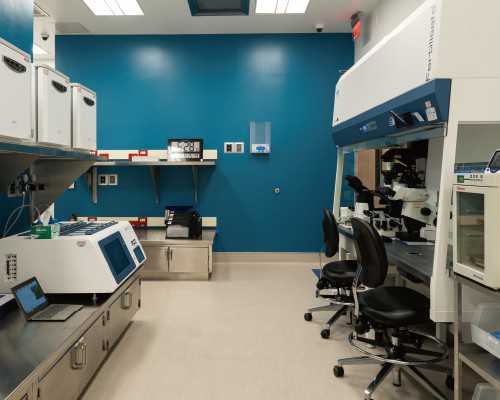 香港验血能查男女性别准吗,8对夫妻就有一对不孕不育，北京16项辅助生殖费用